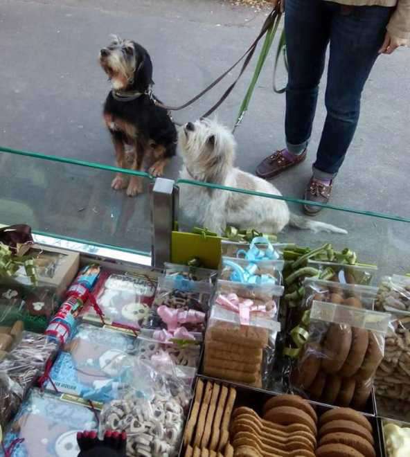 street food cani milano
