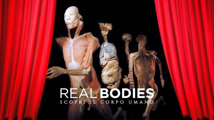 real bodies milano