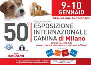 fiera cani