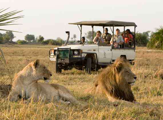 safari milano