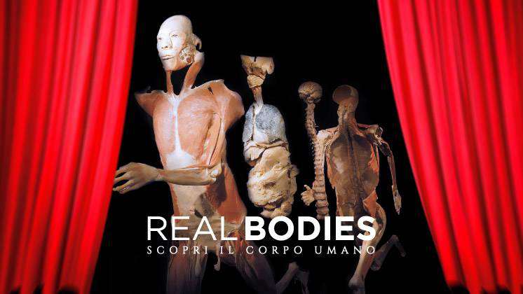 real bodies milano