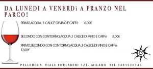 pelledoca a pranzo nel parco