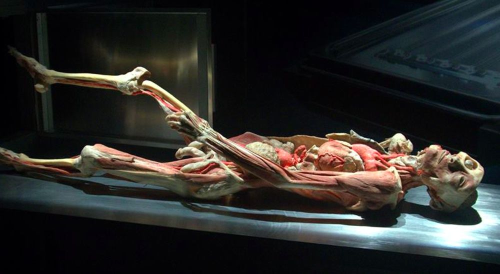 REAL BODIES MOSTRA MILANO
