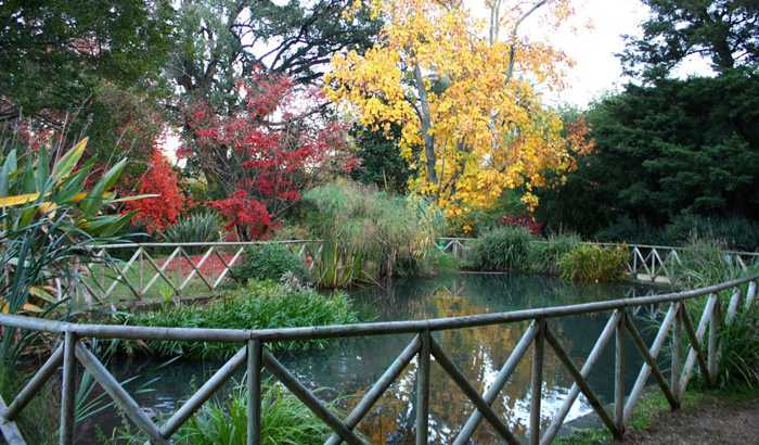 MUSEO BOTANICO