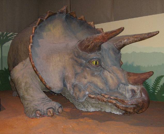 Museo Della Storia Naturale E Il Luogo Piu Visitato Nelle Domeniche Gratuite